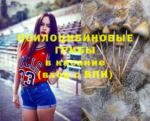 2c-b Краснотурьинск