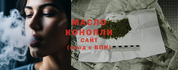 гидра Краснослободск