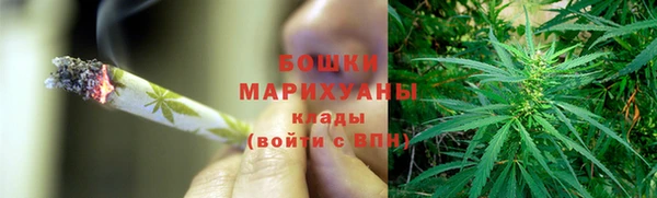 гидра Краснослободск