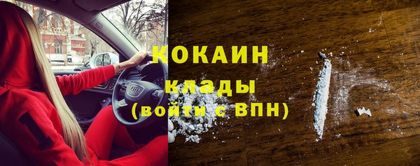 гидра Краснослободск