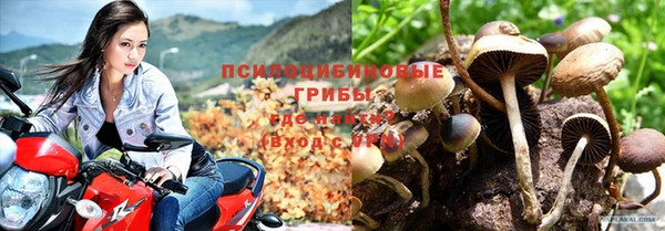 гидра Краснослободск