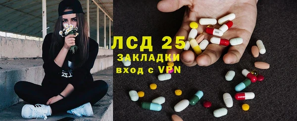 сатива Куйбышев