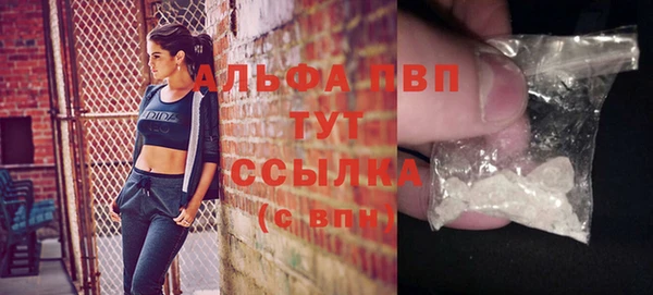 сатива Куйбышев