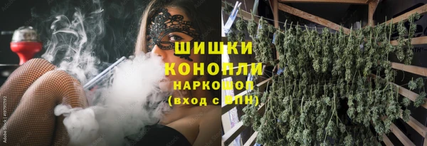 гидра Краснослободск