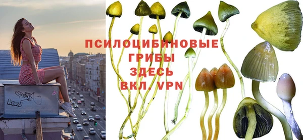 2c-b Краснотурьинск