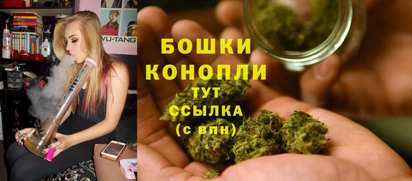 шишки Кукмор