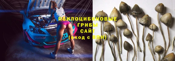 сатива Куйбышев